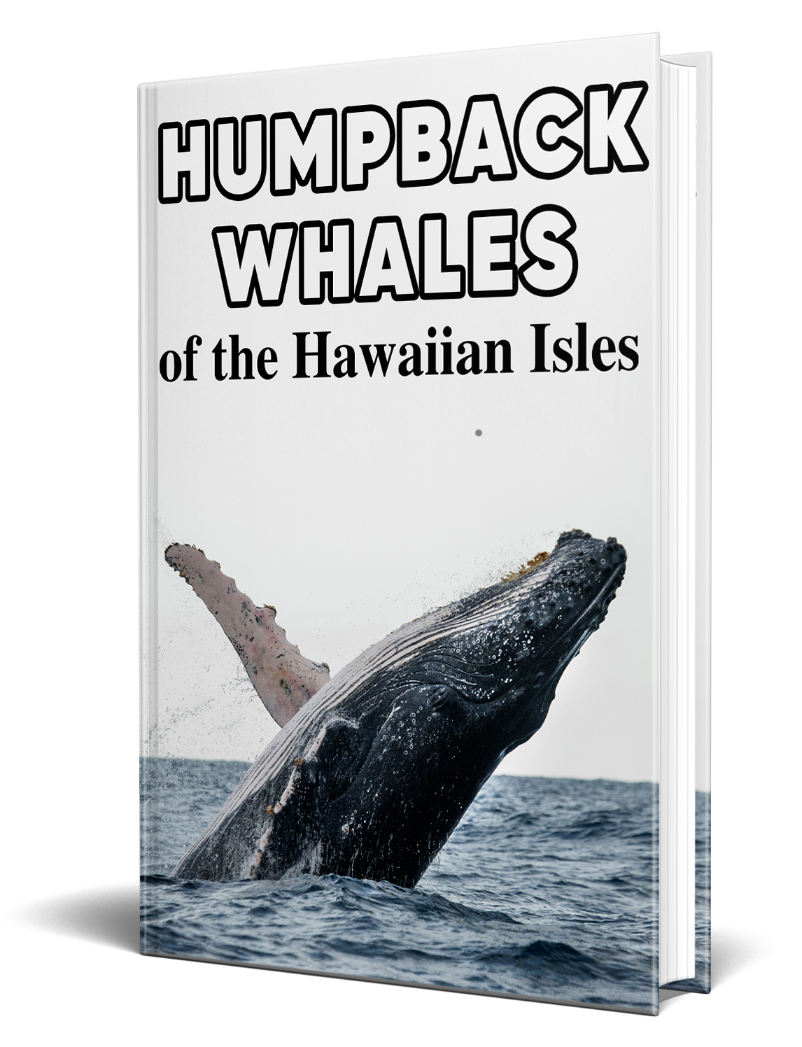 Humpback Whales of the Hawaiian Isles